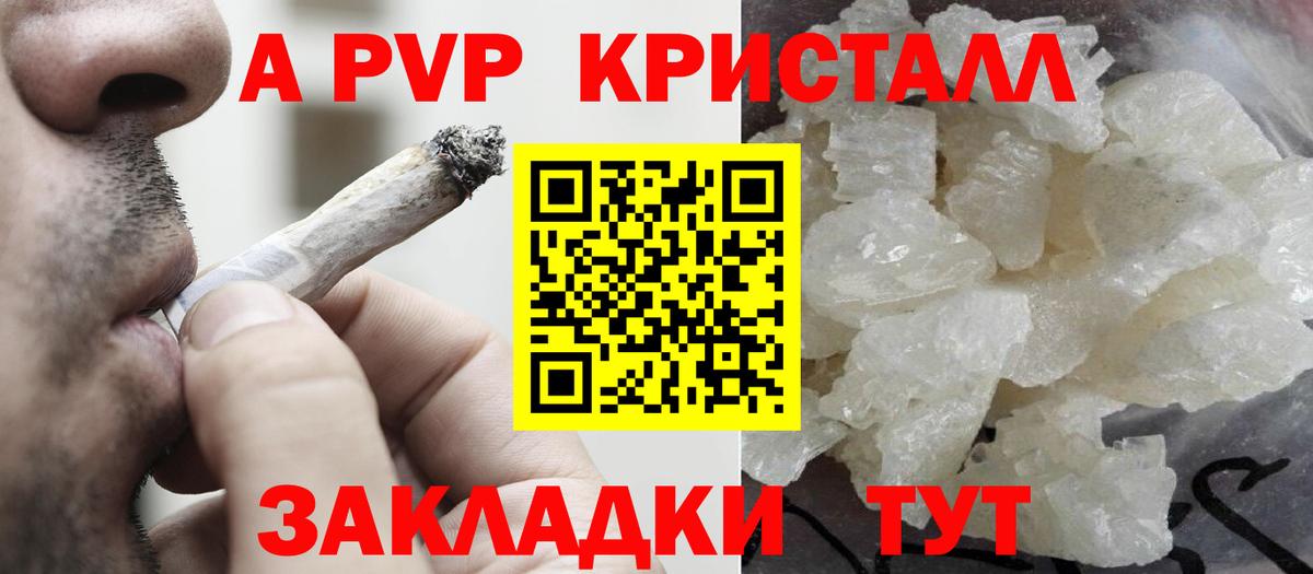 Alfa_PVP СК Долгопрудный