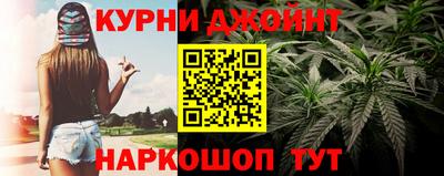 прущие грибы Бийск