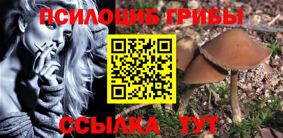 Псилоцибиновые грибы Cubensis Долгопрудный