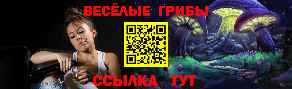 Псилоцибиновые грибы GOLDEN TEACHER  Вход с VPN  Долгопрудный 