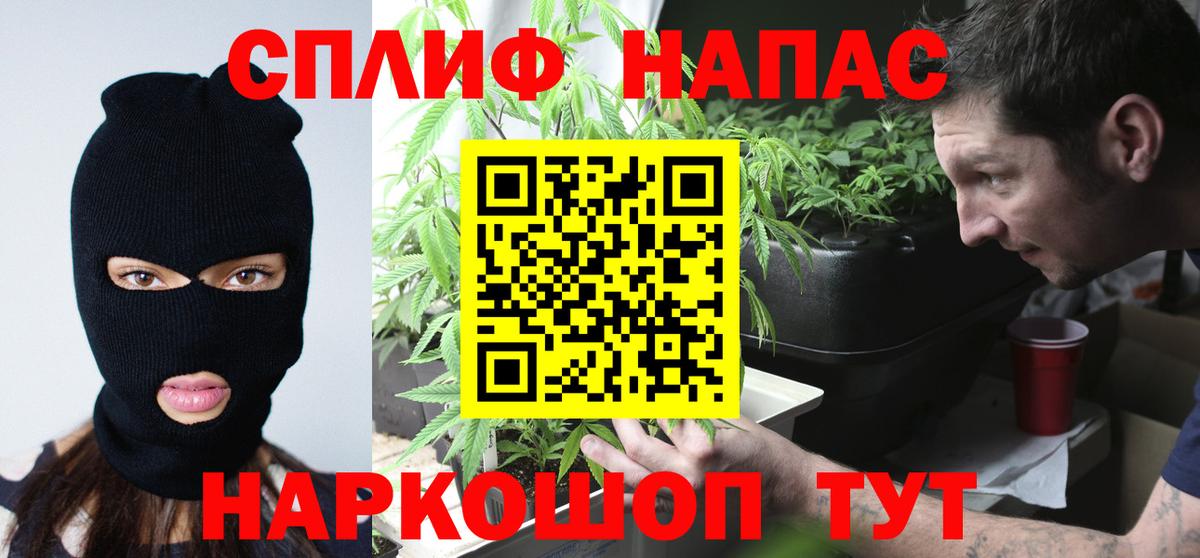 МАРИХУАНА планчик Долгопрудный